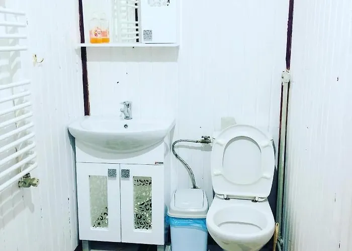 у віти 1