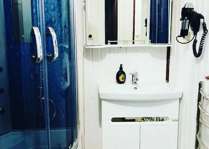 у віти 1 Apartmán Synevyrsʼka Polyana